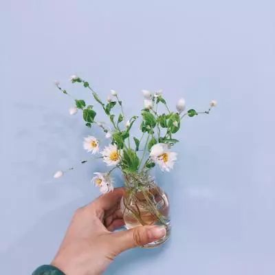 幻境纪元手游下载